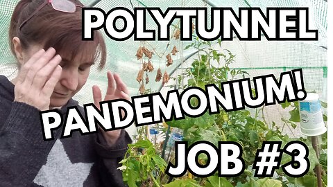 Garden Challenge: DAY 3 - The Polytunnel - From Disaster To Harvest!