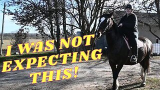 I THOUGHT She Took Her HORSE On A WALKING Trail but What She Did Instead SHOCKED ME!