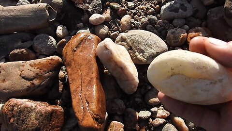 The original forest on flat earth part 13, these rocks are tree parts