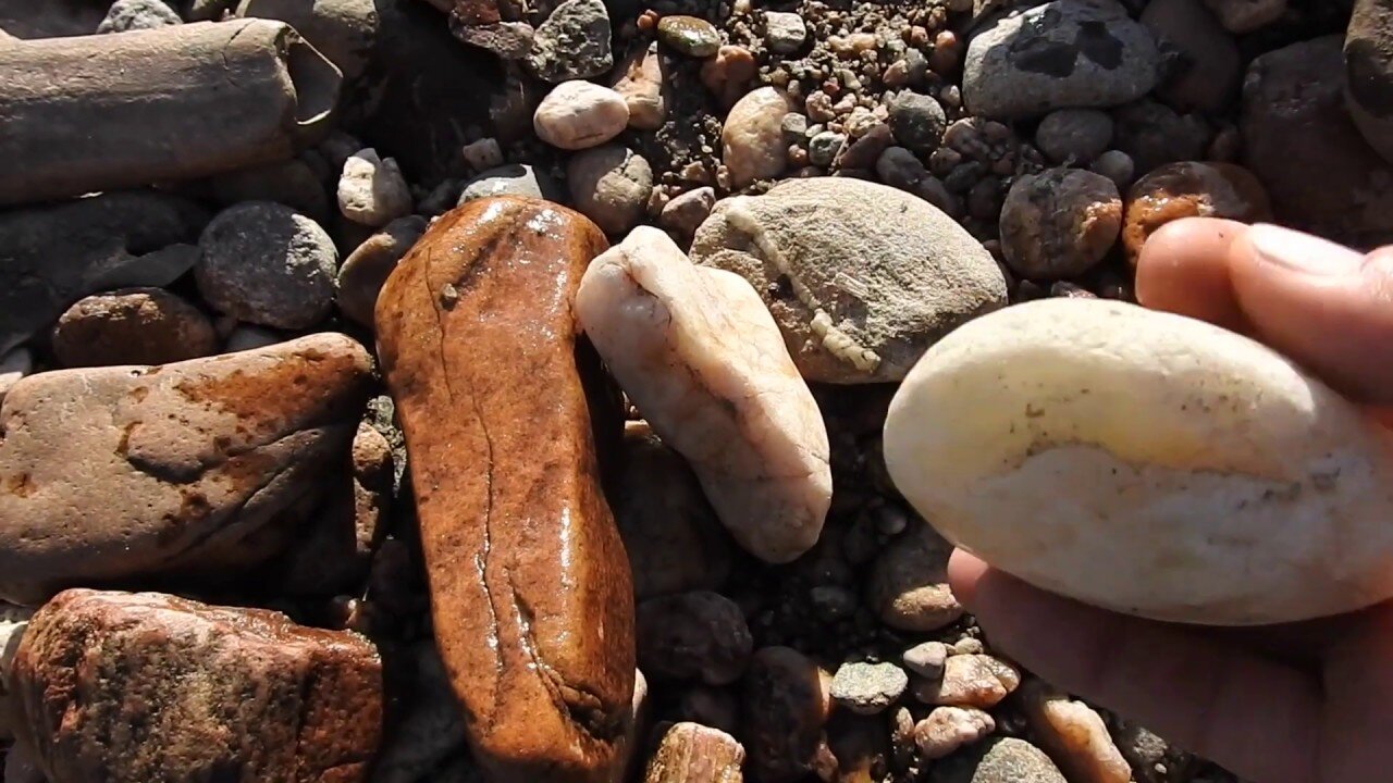 The original forest on flat earth part 13, these rocks are tree parts