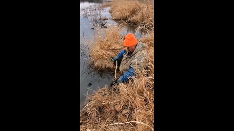 On the beaver line with Hatchet Jack and the mountain man #trapping, #beaver, #hunting, backwoods