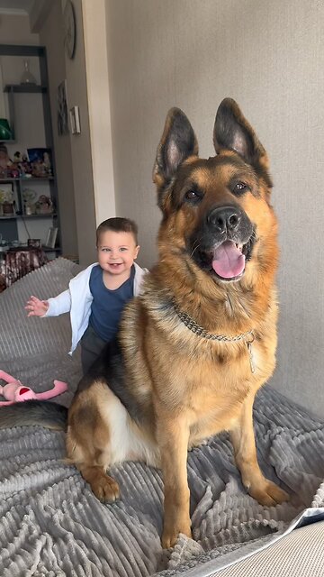 Unbelievable Moments: Puppies & Toddlers Caught in the Weirdest Situations!