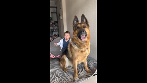 Unbelievable Moments: Puppies & Toddlers Caught in the Weirdest Situations!