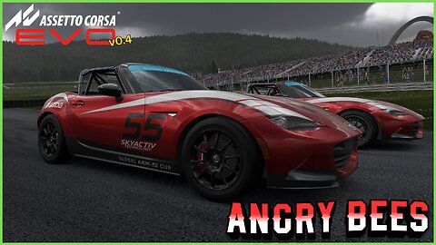 AC EVO v0.4 - SWARM OF ANGRY BEES! // ROADSTER CHALLENGE AT RBR NATIONAL //