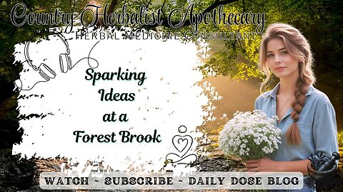 Sparking Ideas at a Forest Brook - Nature, Birdsong & Gentle Stream Music