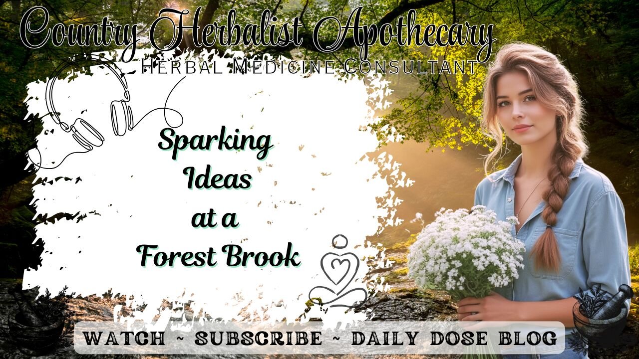 Sparking Ideas at a Forest Brook - Nature, Birdsong & Gentle Stream Music