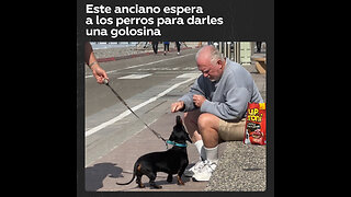 Hombre da golosinas a los perritos que se encuentra en la calle en EE.UU.