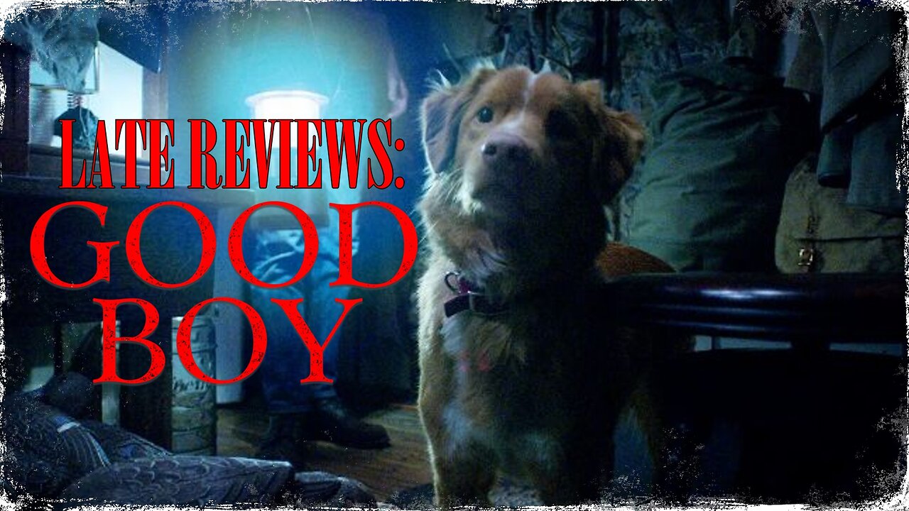 'GOOD BOY' (2025) | SPOILER LATE REVIEW
