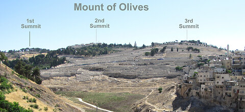 101325 Sean is Moses-Elijah, who was shot at the Mount of Olives. The seer of Satan is Matteo Zuppi