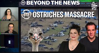 OSTRICHES MASSACRE_Excerpt_with JANINE & JEAN-CLAUDE_NOV 11, 2025