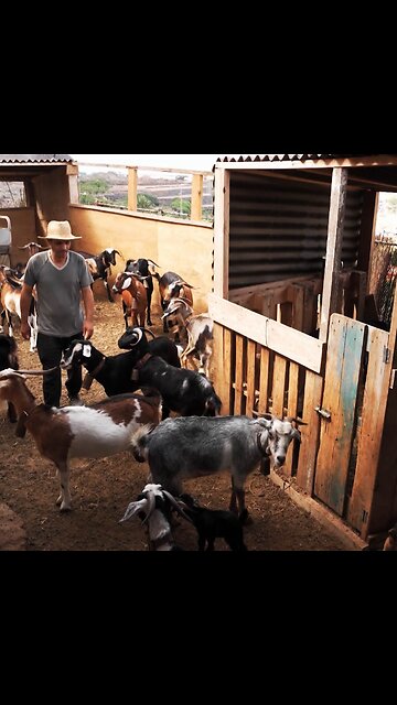 Comunicación a través de silbidos, la tradición que no muere