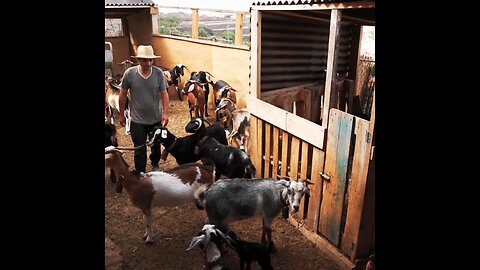 Comunicación a través de silbidos, la tradición que no muere