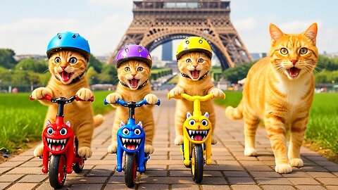Mama Cat Works Hard to Gift Her Kitten a Dream Trip to France 🇫🇷✨🐾 The Wish Comes True