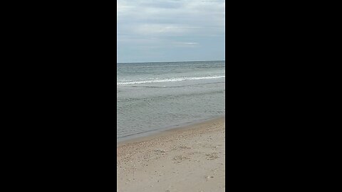 Beautiful Long Beach Island NJ {L.B.I}