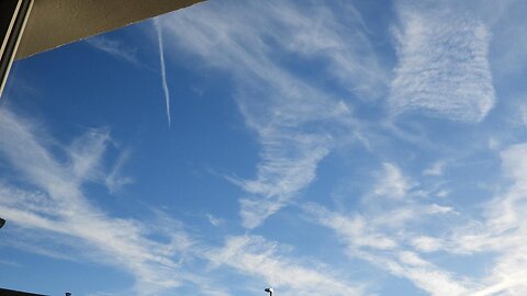 21st Nov. 2025 (1240 to 1330) NEUK - And they complain about Cow's farting