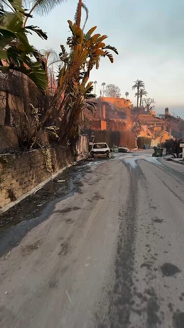 Los Angeles California Wildfires