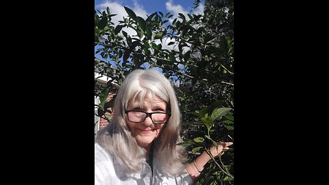 God Used a Crepe Mrytle Tree to Teach Weigh Loss