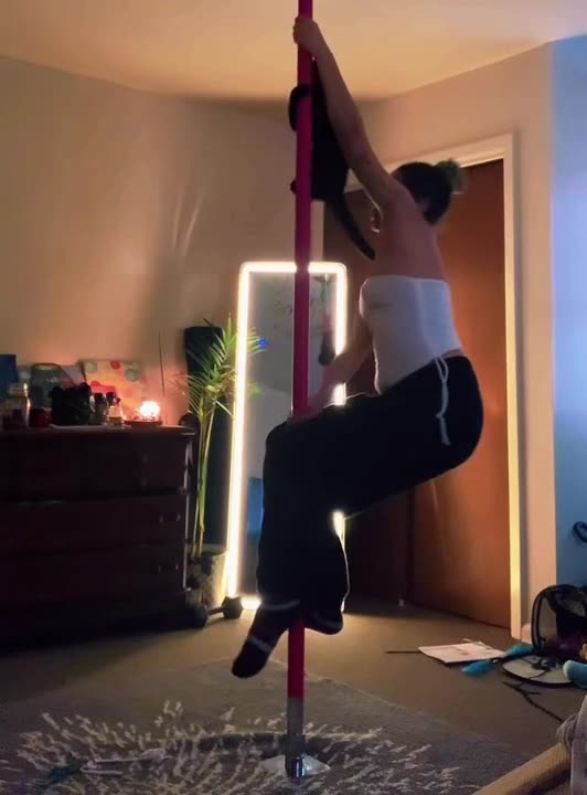 Cat and Its Owner Pole Dancing at Home