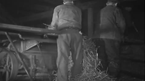 Farm Scenes - Farm Scenes - fc-fc-2521