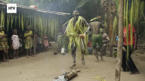 Elephant & African Wildlife #5 – Majestic Giants of Gabon