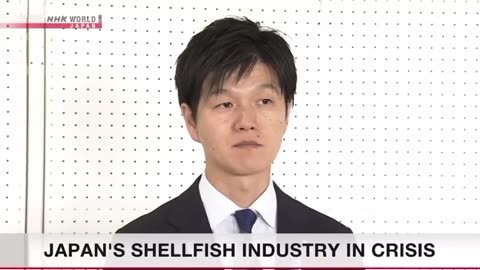 Farmed oysters and scallops in Japan are dying off prematurely in massive quantities