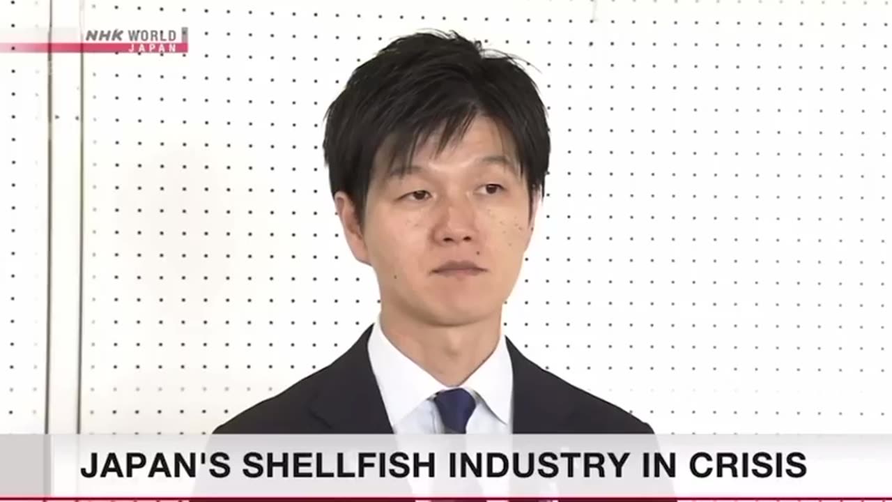 Farmed oysters and scallops in Japan are dying off prematurely in massive quantities