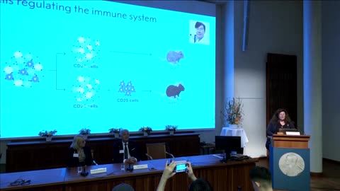 Nobel medicine prize awarded for key findings on immune system