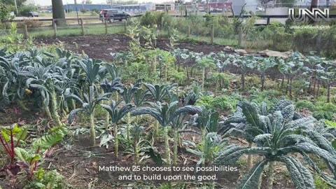 Transforming empty lots into gardens: Cedar Rapids Urban Farm Project.