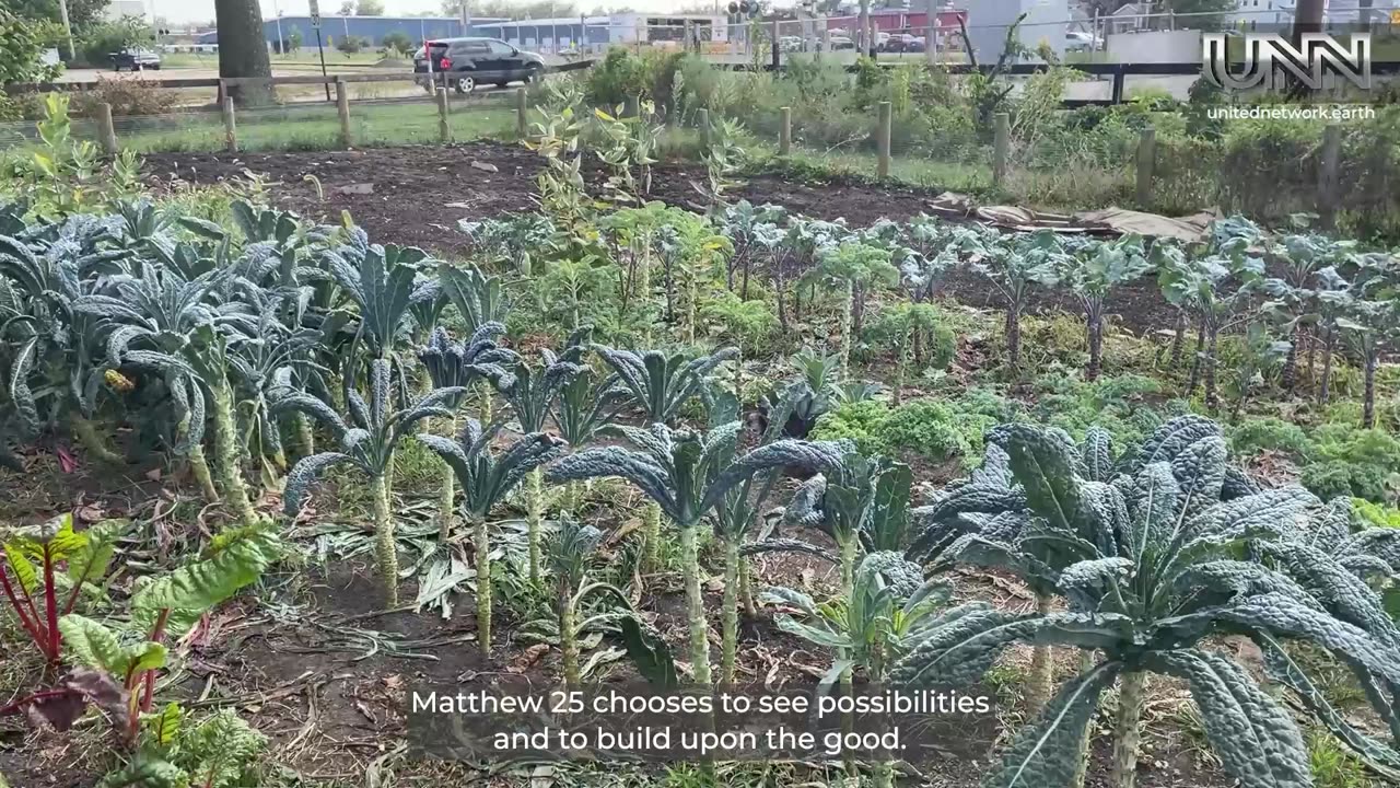 Transforming empty lots into gardens: Cedar Rapids Urban Farm Project.