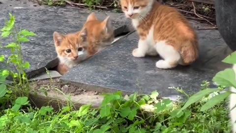 You guys are so cute!