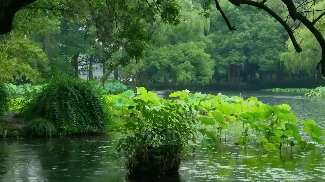 The beautiful little lake is raining