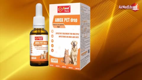 I migliori antibiotici per cani