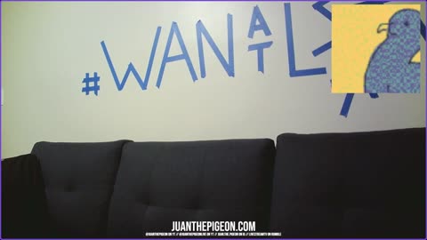 DA PIGEON OFFICIALLY WELCOMES: SUPER STAR NUMBA WAN TO DA NETWORK!!!