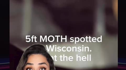 A NEW MOTHMAN SIGHTING