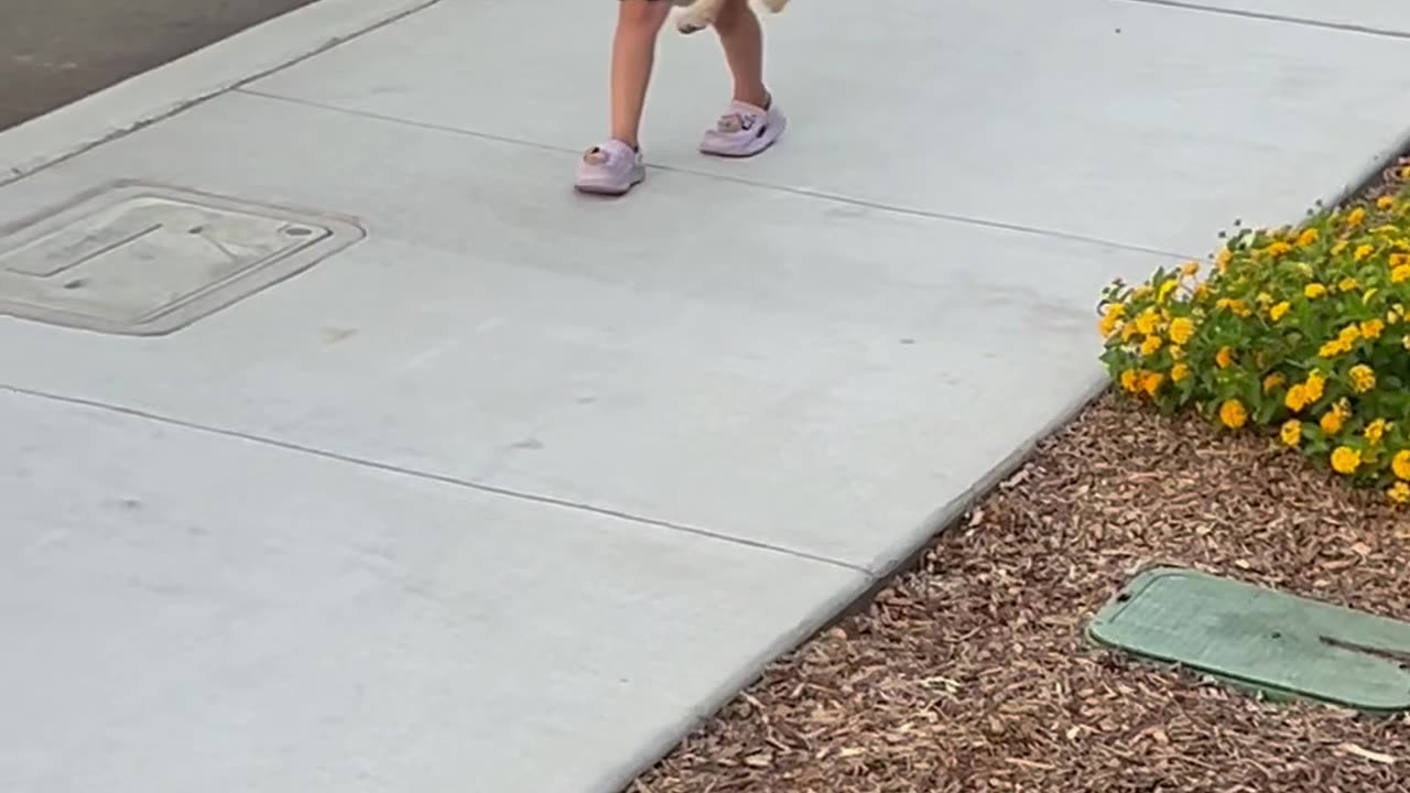 Daughter Adorably Determined To Keep Found Dog