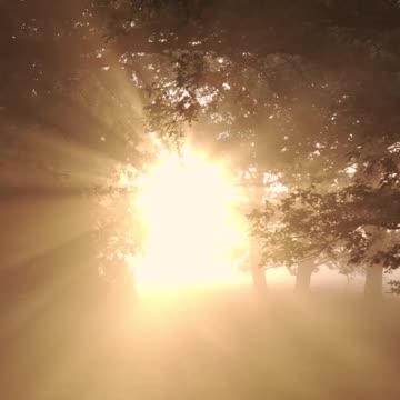 Awaken the People - Psalm 80 #jesus #motivation #scripturereading