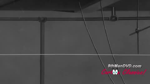 LOONEY TUNES CARTOON COMPILATION Bugs Bunny, Daffy Duck, Porky Pig & More 4 Hours