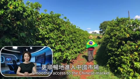 Brazil Suddenly Implements Visa-Free Entry for Chinese Tourists?