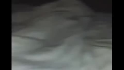 😱👽 Creature Encounter: The Scariest Footage Ever Recorded! | TheHauntingHour