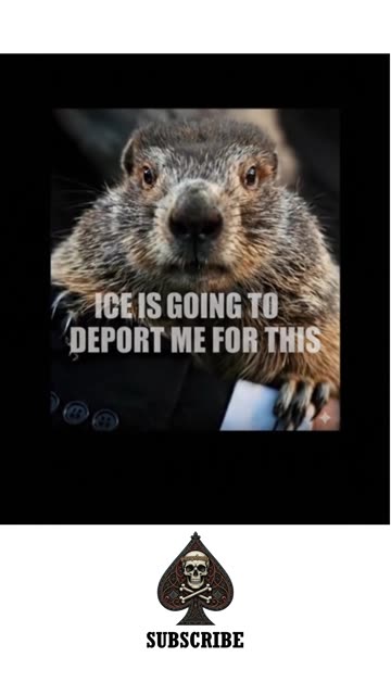 Deport Groundhogs