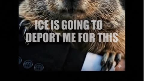 Deport Groundhogs