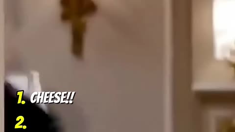Which One Was Your Favorite? 😂 | Top 5 Funniest Rush Hour Bloopers