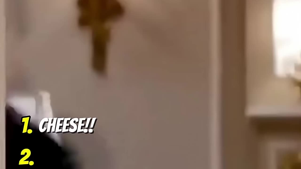 Which One Was Your Favorite? 😂 | Top 5 Funniest Rush Hour Bloopers