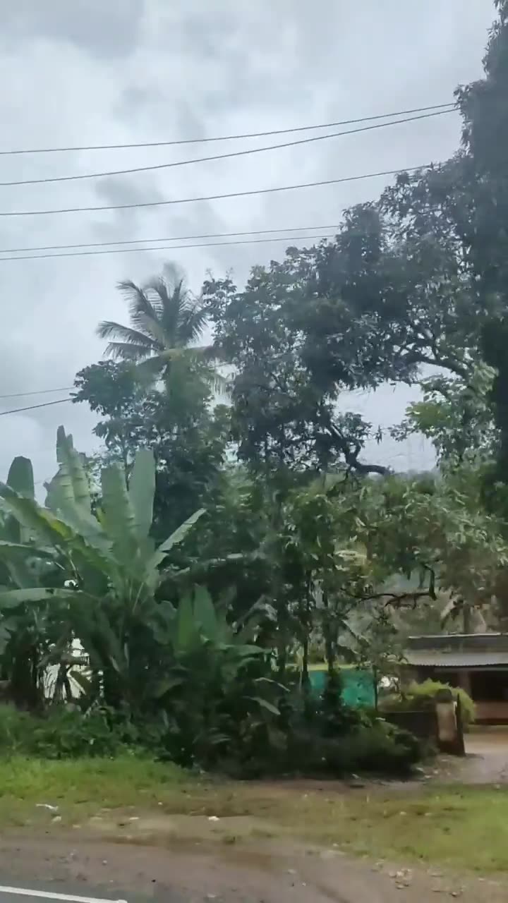 Glimpse✨️__#viberesortmunnar