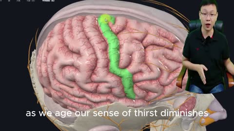 How Loneliness Affects the Brain: What Isolation Does to Your Mind