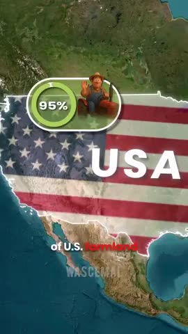 What If All White Americans Left the Country Today