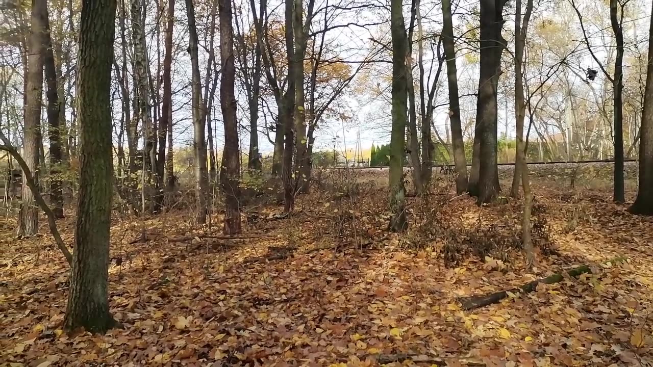 "wdziałem zbroję i tylko się uśmiechałem "...