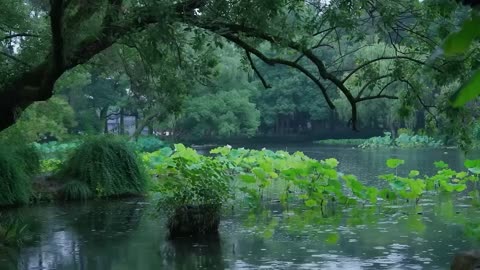 The beautiful little lake is raining