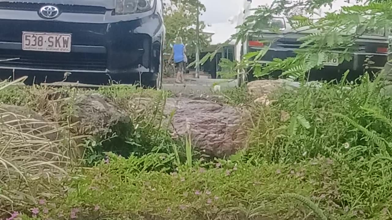 9.10.2025 Party in the Park, Kuranda