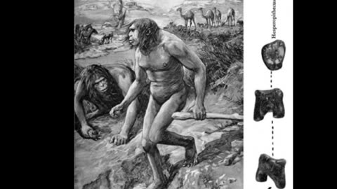 Understand What Your Bible Actually Says